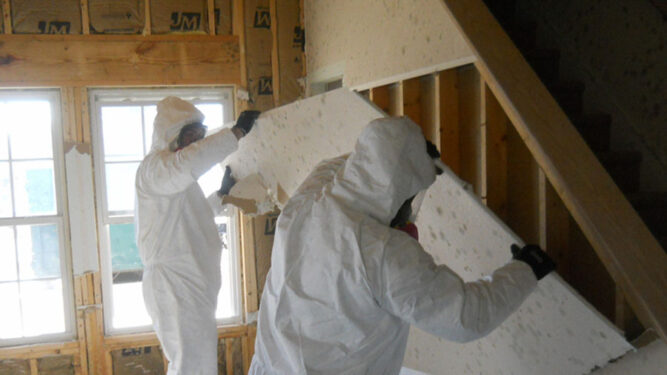 Mold Remediation Service