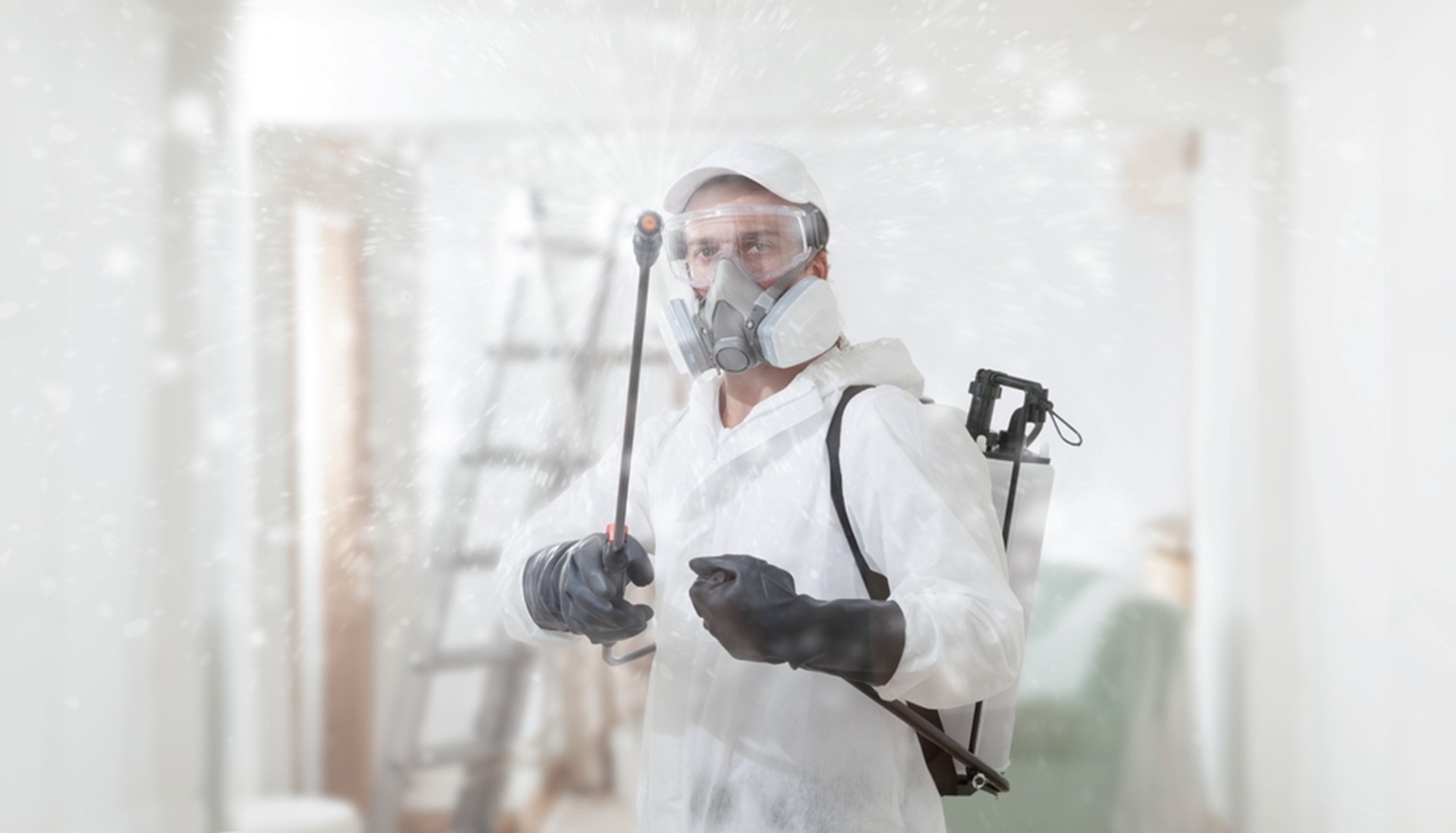 Professional Mold Remediation 