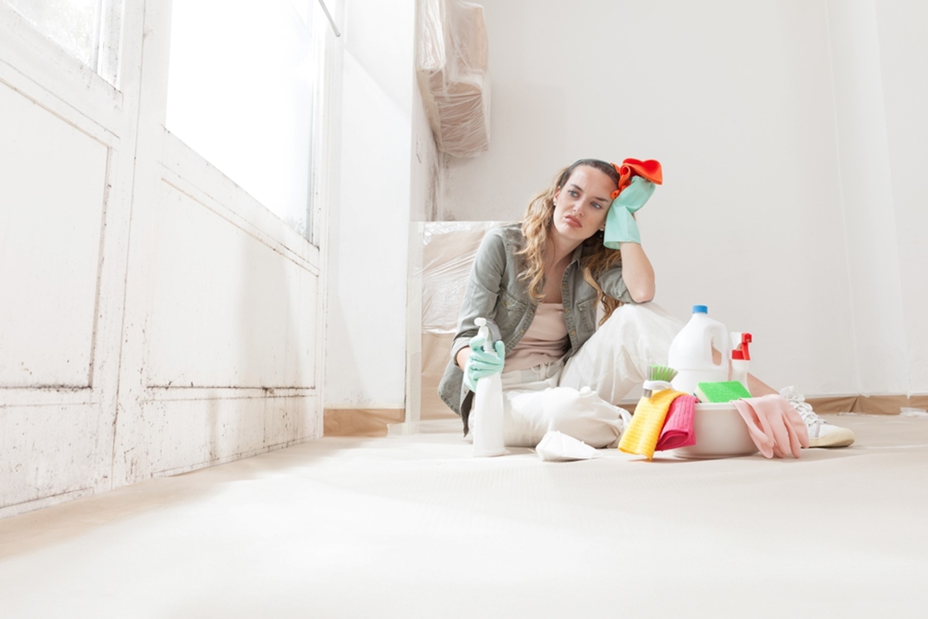 Why Choose Alva for Mold Remediation?