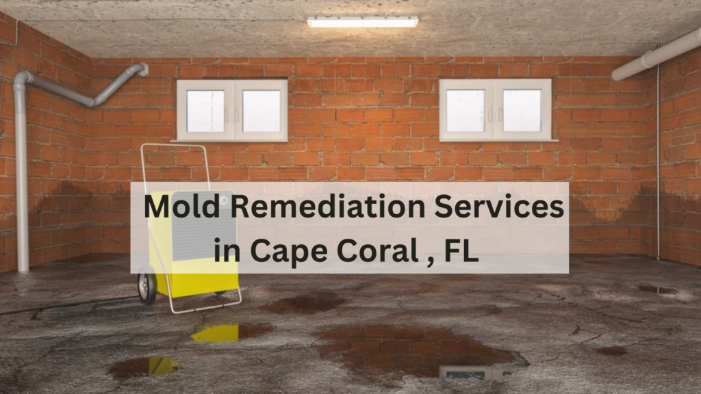 Mold Remediation Services in Cape Coral