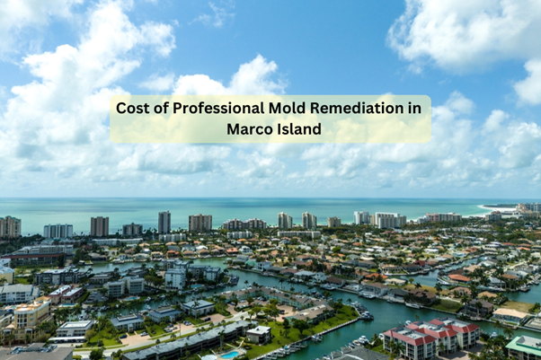 Cost of Professional Mold Remediation in Marco Island