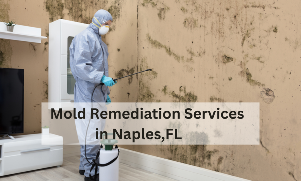 Professional Mold Remediation Services in Naples,FL