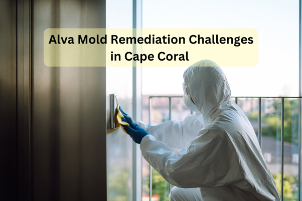 Alva Tackles Mold Remediation Challenges in Cape Coral