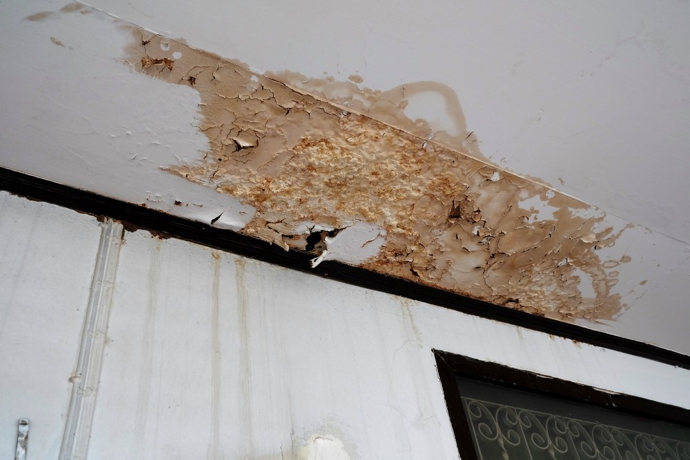 Severe water damage and peeling paint on a ceiling 