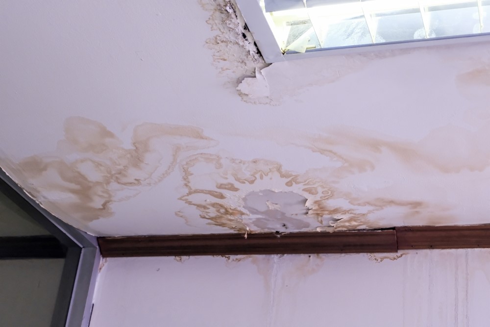 Water Damaged Ceiling