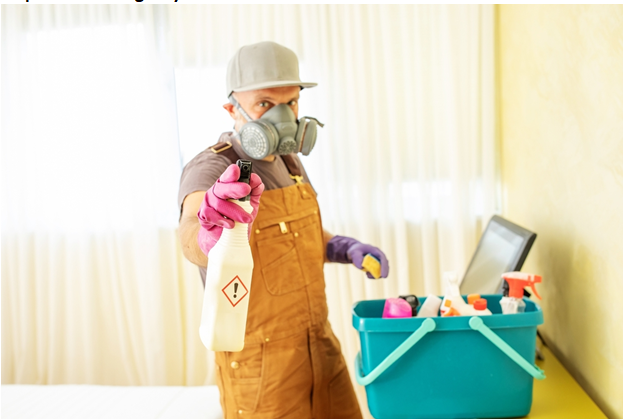 Emergency Mold Remediation Process