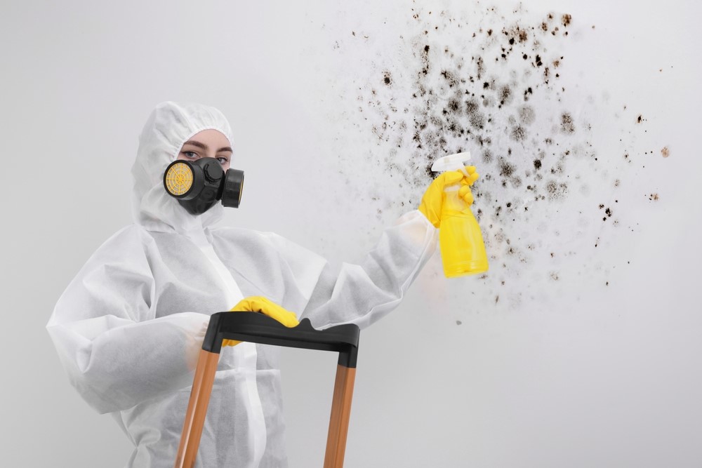 A woman is removing mold from a wall