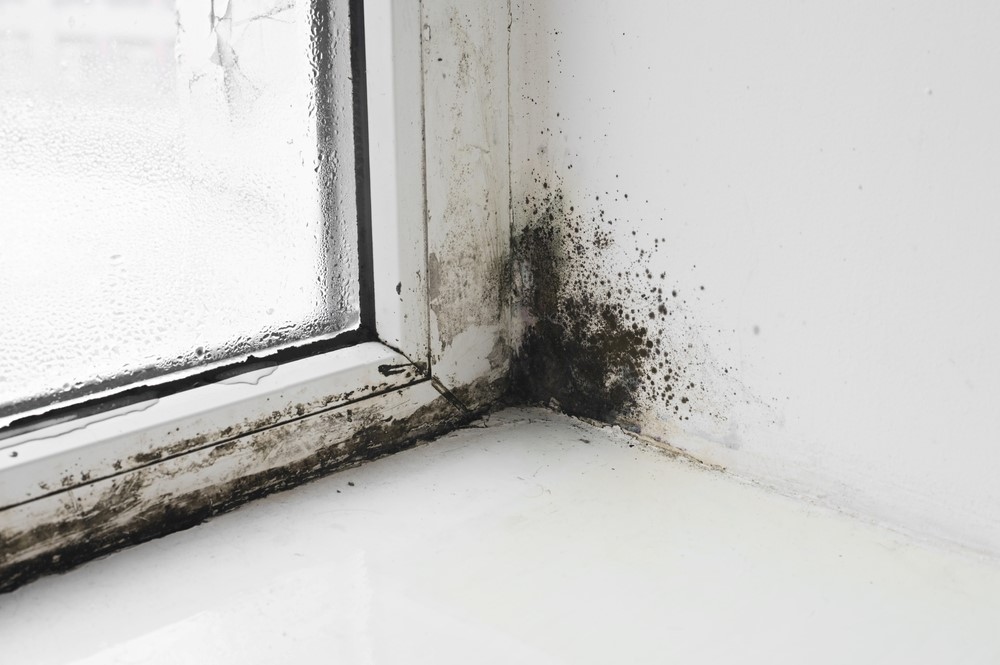 Mold growth on a damp window frame