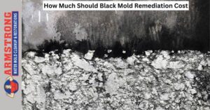 Black Mold Remediation Cost