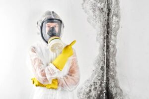 Aspergillus Mold Removal Costs Aspergillus fumigatus Aspergillus niger