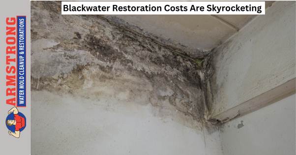 Blackwater Restoration Costs