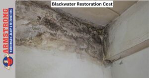 Blackwater Restoration Costs 