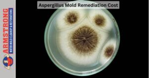 Aspergillus Mold Remediation Cost