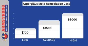 Aspergillus Mold Remediation Cost? 