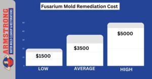 cost of Fusarium Mold Remediation