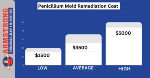 Penicillium Mold Remediation Cost 