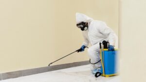 Mold Remediation Cost