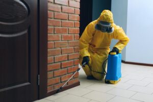 .Professional Mold Removal Cost