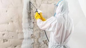 How to Avoid Future Alternaria Mold Growth