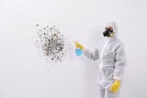 cost of Toxic Black Mold removal 