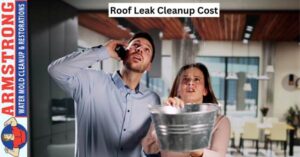 Roof Leak Cleanup Cost 