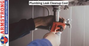 Plumbing Leak Cleanup Cost