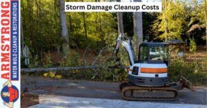 Storm Damage Cleanup Costs 