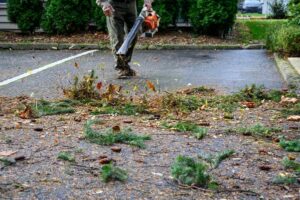 Storm Damage Cleanup Costs 